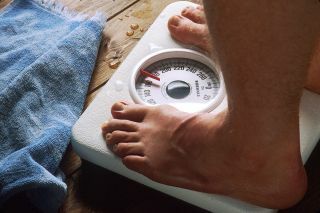 Mito da obesidade David Bedrick